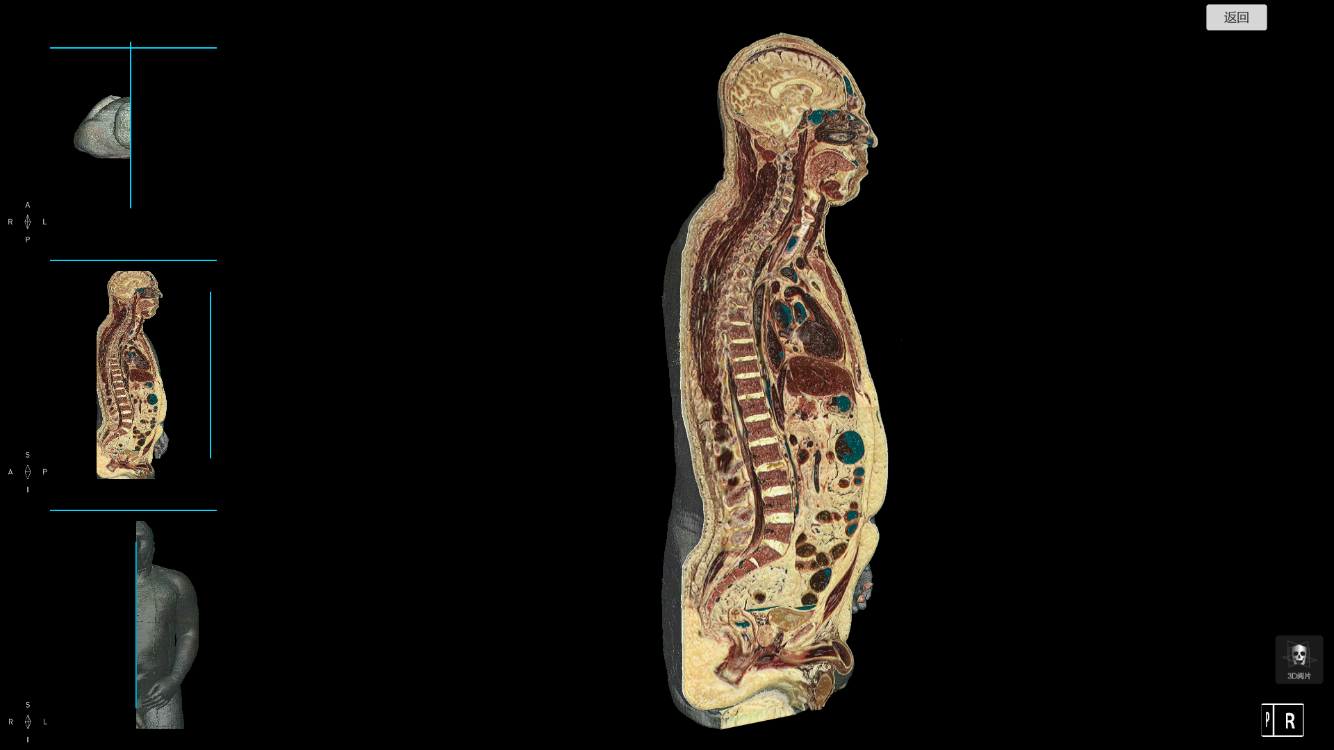 1683882797865642.png 8.png